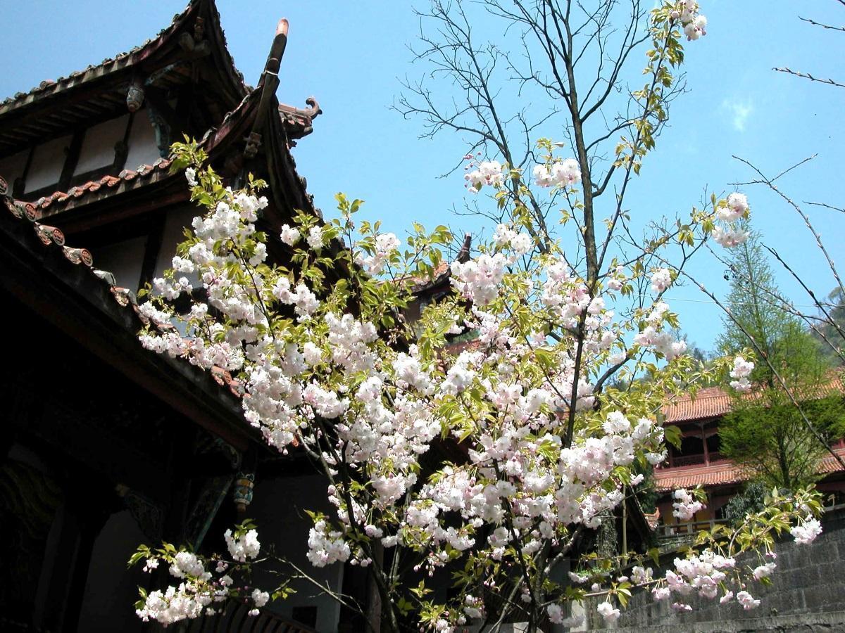 Yunling Conference Resort Qingcheng Dujiangyan Exterior foto